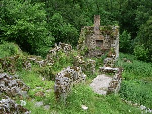 119